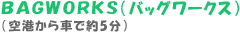BAGWORKS�i�o�b�O���[�N�X�j�i��`����ԂŖ�5���j