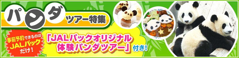 �p���_�c�A�[���W�@���O�\��ł���̂�JAL�p�b�N�����I�@�uJAL�p�b�N�I���W�i���̌��p���_�c�A�[�v�t���I