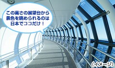 ���̍�������i�F�𒭂߂���͓̂��{�ŃR�R�����I�i�C���[�W�j