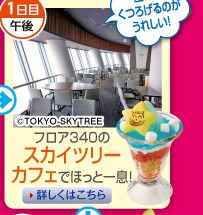 1���ڌߌ�@�t���A340�̃X�J�C�c���[�J�t�F�łق��ƈꑧ�I
�����Ă��낰��̂����ꂵ���I�@�ڂ����͂�����