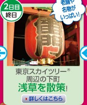 2���ڏI���@�����X�J�C�c���[&reg;���ӂ̉����󑐂��U��I