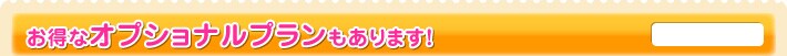 お得なオプショナルプランもあります!