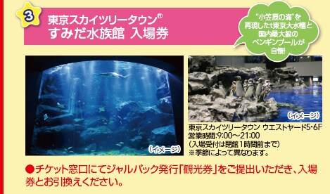 5. ���߂̗\�񂪂��g�N�I30���O�܂łɂ��\�����݂Ȃ� 1���ɂ�500�~����
�������X�y�V�����Z�b�g�̐ݒ�z�e���͑ΏۊO�ƂȂ�܂��B
�����ǂ��Y���Q���s����ł��Q���̂��q���܂͊����ΏۊO�ƂȂ�܂��B
���h�����̑O������N�Z����30���O�܂łɂ��\�����݂��������A�������̂��q���ܑS���̍q��@�A�h���Ȃǂ��ׂĂ̂��\�񂪊m�肵���ꍇ�݂̂ƂȂ�܂��B
���h�����̑O������N�Z����30���O���߂��Ă���\����e��ύX�����ꍇ�́A���g�N�ȓ��e�̑ΏۊO�ƂȂ肷�B