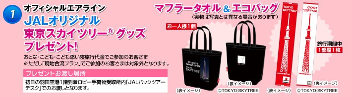 1 参加者全員にもれなくプレゼント!
おとな・こども・こども添い寝旅行代金でご参加のお客さま
※ただし「現地合流プラン」でご参加のお客様は対象外となります。
JALオリジナル 東京スカイツリー(R)エコバッグ(お一人様/1個)実物は写真とは異なる場合があります
(表イメージ) (裏イメージ)(c)TOKYO-SKYTREE
プレゼントお渡し場所 初日の羽田空港1階到着ロビー手荷物受取所内
「JALパックツアーデスク」でのお渡しとなります。
