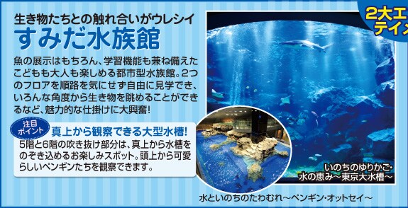 �����������Ƃ̐G�ꍇ�����E���V�C ���݂�������
���̓W���͂������A�w�K�@�\�����˔��������ǂ�����l���y���߂�s�s�^�����فB2�̃t���A�����H���C�ɂ������R�Ɍ��w�ł��A�����Ȋp�x���琶�����𒭂߂邱�Ƃ��ł���ȂǁA���͓I�Ȏd�|���ɑ勻���I
���ڃ|�C���g �^�ォ��ώ@�ł����^�����I
5�K��6�K�̐������������́A�^�ォ�琅�����̂������߂邨�y���݃X�|�b�g�B���ォ����炵���y���M���������ώ@�ł��܂��B