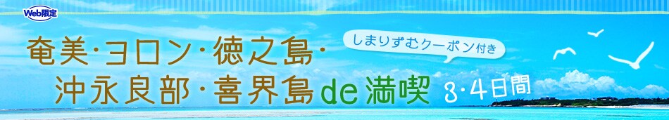 Web���� ���܂肸�ރN�[�|���t�� �����E�������E���i�Ǖ�de���i 