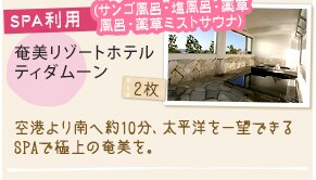 JAL�J�b�v �g���v���W�F���[�g La Fonte�i1��500�~�̋����Ƃ��Ă������p�j 1��