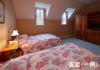 �q���i���j