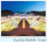 ���̉���