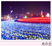 ���C���{�[�t�����[�K�[�f��