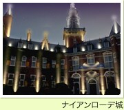 �i�C�A�����[�f��