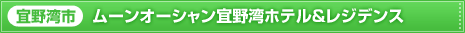 �X��p�s�@���[���I�[�V�����X��p�z�e�������W�f���X