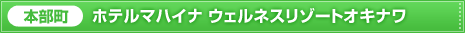 �{�����@�z�e���}�n�C�i �E�F���l�X���]�[�g�I�L�i��
