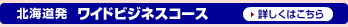 �k�C�������C�h�r�W�l�X�R�[�X�@�ڂ����͂�����