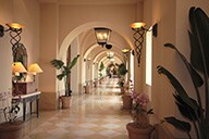 ���r�[(�C���[�W)