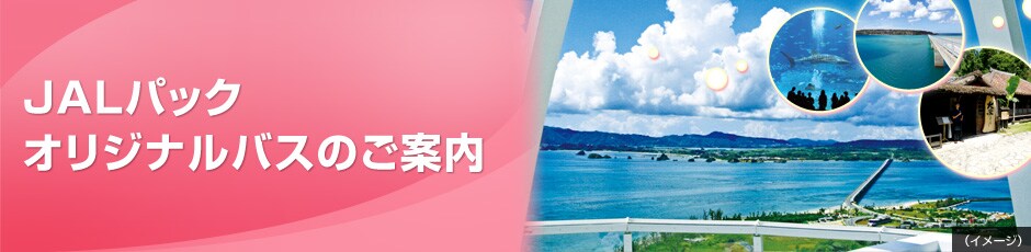 JAL�p�b�N�Ȃ�ł́I�@JAL�p�b�N����ɂ��Q���̕��S�������p�\�I�@JAL�p�b�N �I���W�i���o�X�̂��ē� ��ƃ����`�t���v���� �V�o��I