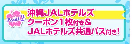 point2 ����JAL�z�e���Y�N�[�|��1���t����JAL�z�e���Y���ʃp�X�t���I