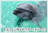 �h���t�B���K�C�h�c�A�[�i�C���[�W�j