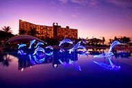 �K�[�f���C���~�l�[�V�����i�C���[�W)