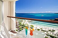 �q���o���R�j�[�i�C���[�W)