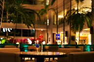 ���r�[�i�C���[�W)