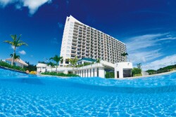 ����s�@�I�L�i�� �}���I�b�g ���]�[�g & �X�p