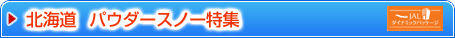 JAL�_�C�i�~�b�N�p�b�P�[�W�@�k�C�� �p�E�_�[�X�m�[���W