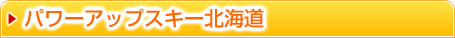 �p���[�A�b�v�X�L�[�k�C��