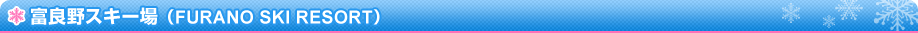 �x�ǖ�X�L�[��iFURANO SKI RESORT�j