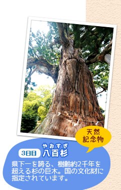 3���ځA�����W�]��A��i�X�|�b�g