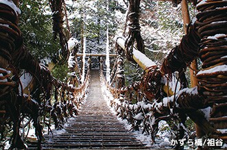 ����LED�A�[�g�t�F�X�e�B�o��2013