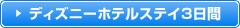 �f�B�Y�j�[�z�e���X�e�C3����
