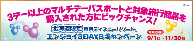 3�f�[�ȏ�̃}���`�f�[�p�X�|�[�g�ƑΏۗ��s���i���w�����ꂽ���Ƀr�b�O�`�����X�I �k�C�����蓌���f�B�Y�j�[���]�[�g�G���W���C3DAYS�L�����y�[�� �Ώۏo����9/1(��)�`11/30�i�y�j