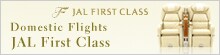 Domestic Flights - JAL First Class