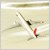 new jal