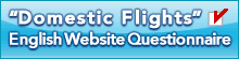 'Domestic Flights' English Website Questionnaire