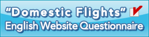 'Domestic Flights' English Website Questionnaire