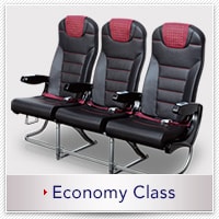 Economy Class