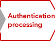 Authentication processing