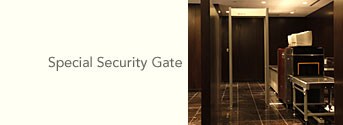 Special Security Gate