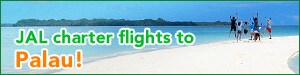 JAL charter flights to Palau!