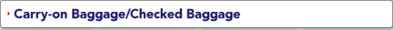 Carry-on Baggage/Checked Baggage