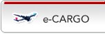 e-CARGO