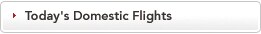 Today's Domestic Flights