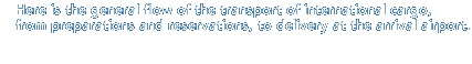 Here is the general flow of the transport of international cargo, from preparations and reservations, to delivery at the arrival airport.