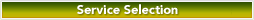 Service Selection
