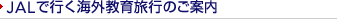 JAL�ōs���C�O���痷�s�̂��ē�