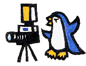 �y���M��