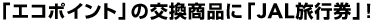 �u�G�R�|�C���g�v�̌������i�ɁuJAL���s���v�I