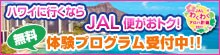�n���C�ɍs���Ȃ�JAL�ւ����g�N�I�����̌��v���O������t��!!�@JAL�킭�킭�A���n�v��2011
